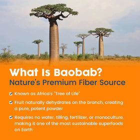 NativePath Baobab Prébiotique vue de côté de l'emballage