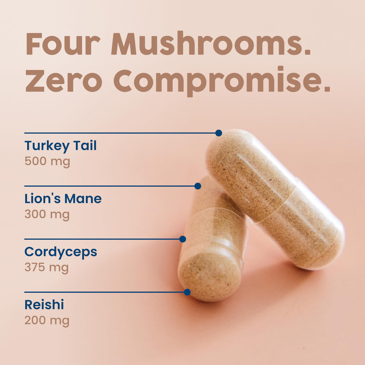 NativePath Complex de Champignons Bio - ingrédients listés