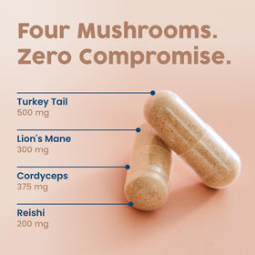 NativePath Complex de Champignons Bio - ingrédients listés
