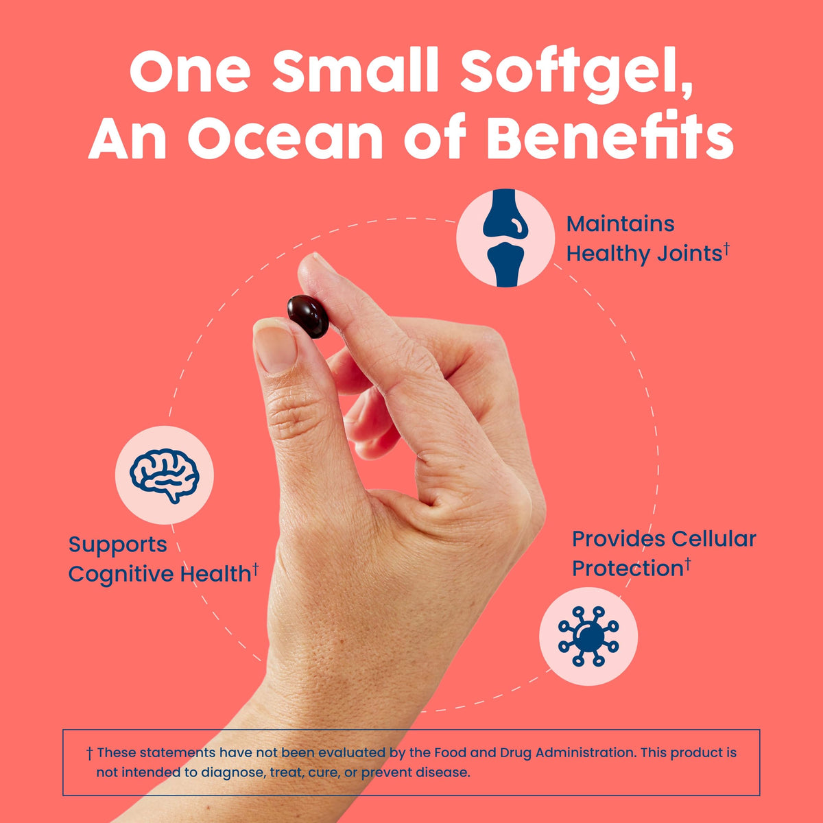NativePath huile de krill Antartique 500mg informations nutritionnelles