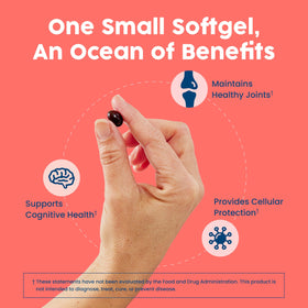 NativePath huile de krill Antartique 500mg informations nutritionnelles