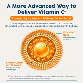 NativePath Vitamine C Liposomale 500mg Orange - vue de l'arrière de l'emballage