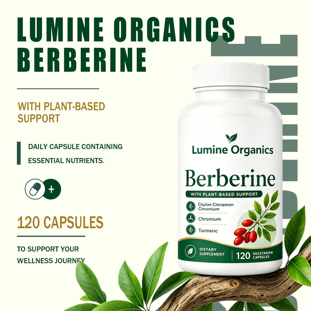Natura Derm Berberine Complex 120 Capsules sur fond blanc