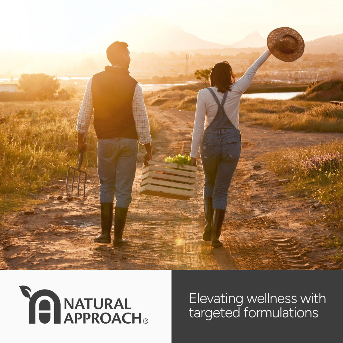 Natural Approach Quercetine 500mg - échelle de dosage