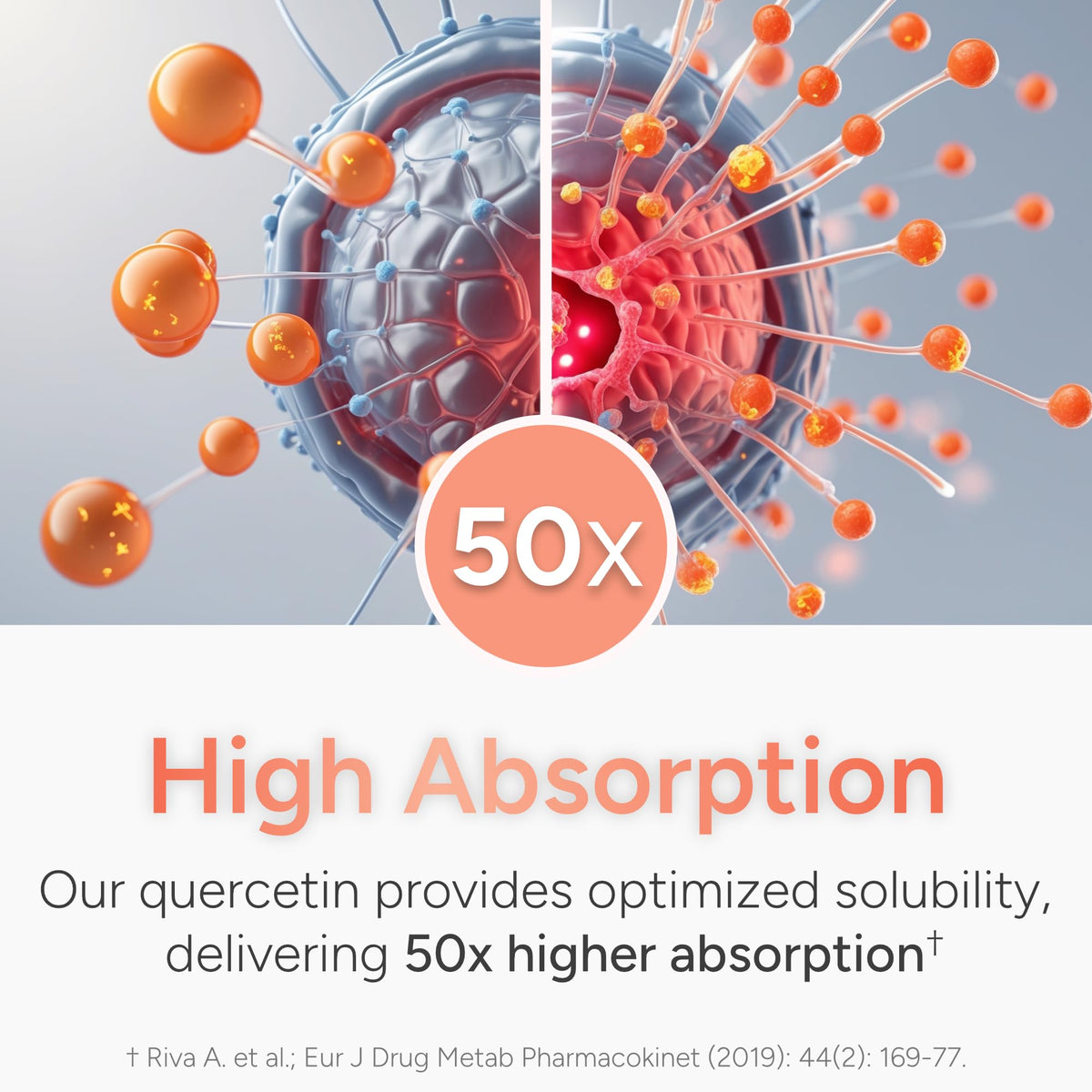 Natural Approach Quercetine 500mg - vue de haut
