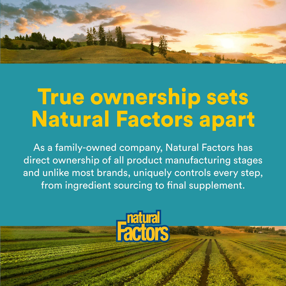 Natural Factors Acide Alpha-Lipoïque 600 mg côté capsules