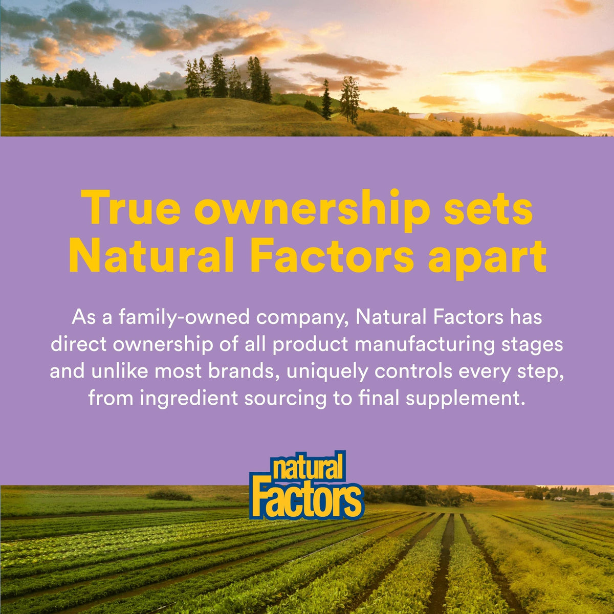 Natural Factors AdrenaSense côté packaging