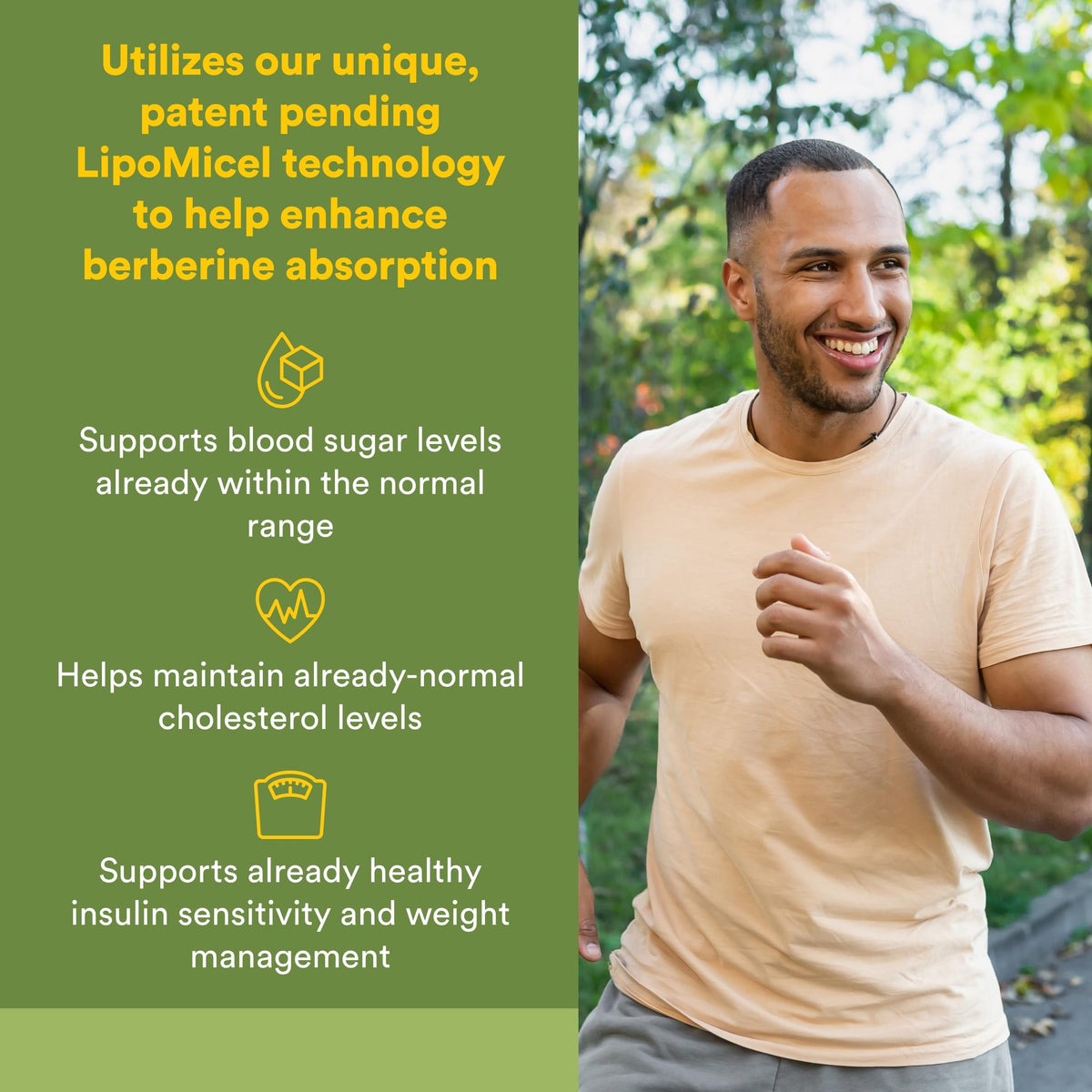 Natural Factors Berberine 500 mg gélules liquides arrière de l'emballage