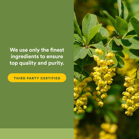 Natural Factors Berberine 500 mg gélules liquides sur une surface en bois