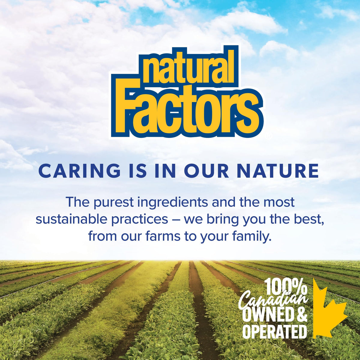 Natural Factors BioCoenzymated 5-MTHF + B12, présentation des comprimés dans la main