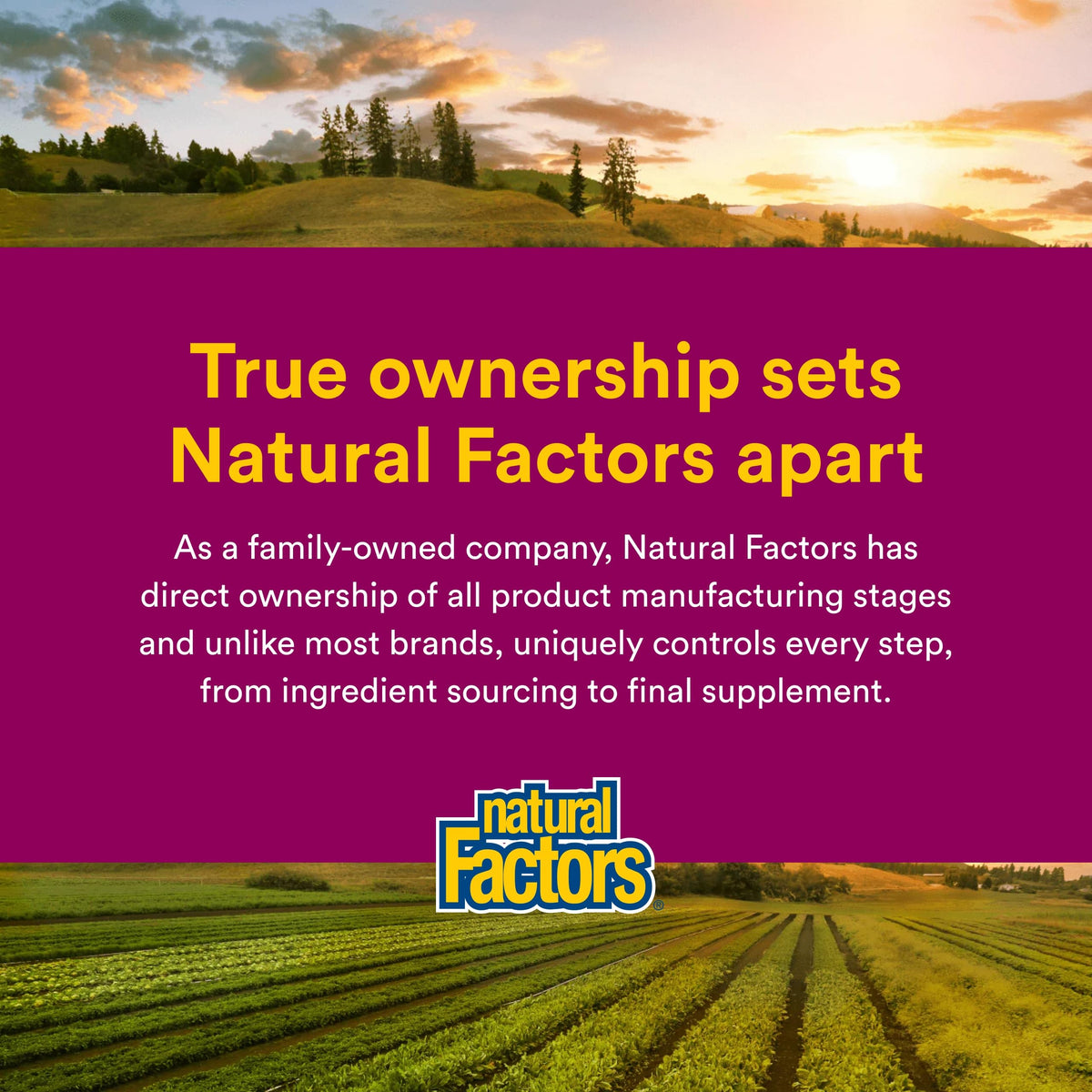 Natural Factors BioCoenzymated B Complex 60 Capsules - présentation sur une table