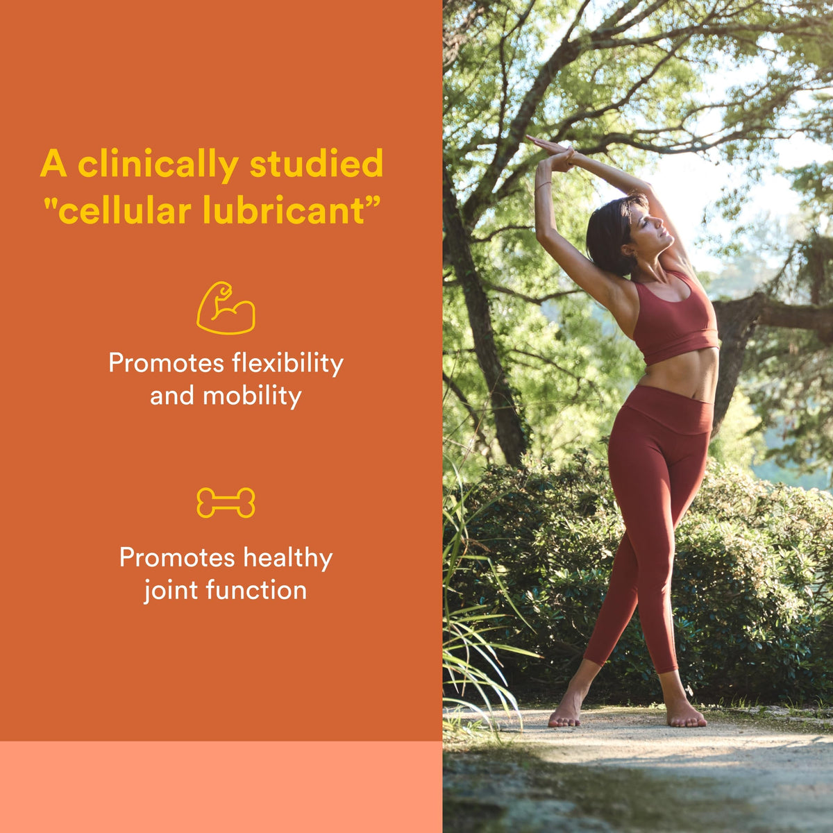 Natural Factors Celadrin informations sur l'emballage