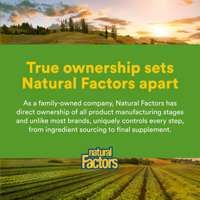 Natural Factors Complément Alimentaire Gingembre 500 mg 90 Comprimés - présentation en lifestyle