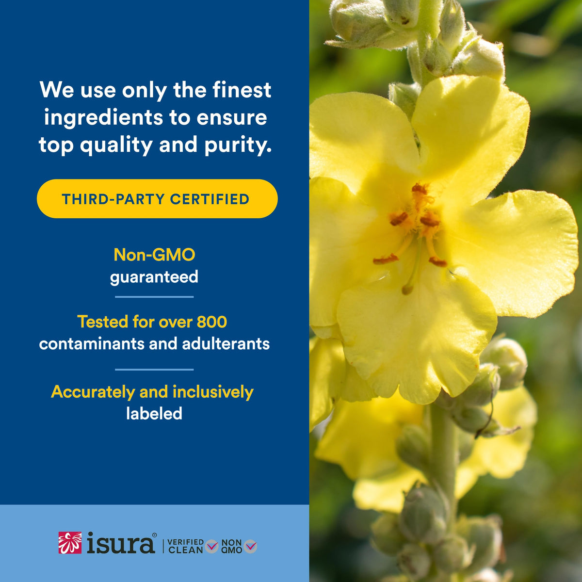 Natural Factors Complément Alimentaire Santé des Poumons avec des herbes