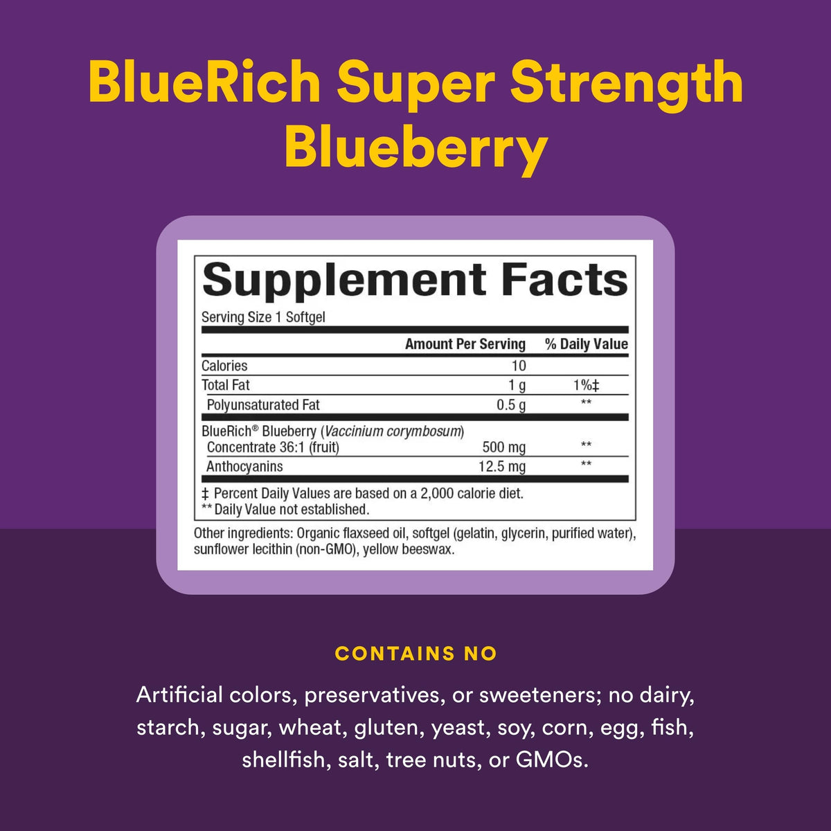 Natural Factors Concentré de Myrtille Super Force 500 mg ingrédients