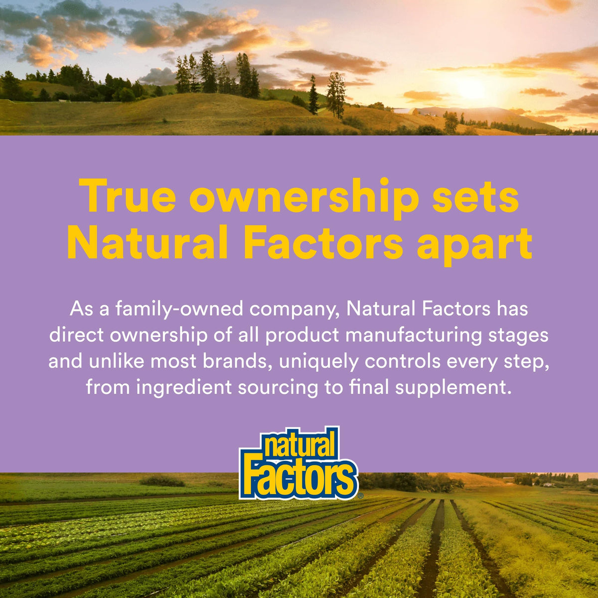 Natural Factors CoQ10 100 mg gélules molles avec ingrédients