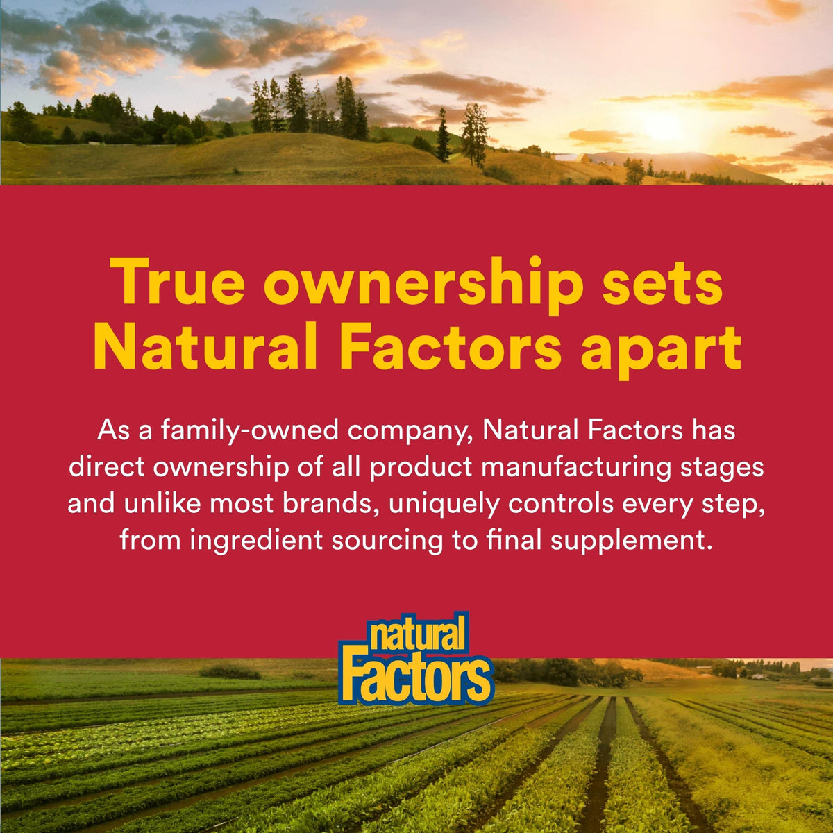 Natural Factors Extrait de Propolis, 90 capsules sur fond neutre