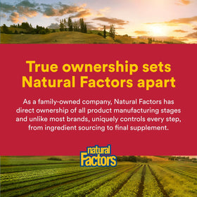 Natural Factors Extrait de Propolis, 90 capsules sur fond neutre