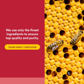 Natural Factors Extrait de Propolis, capsules ouvertes