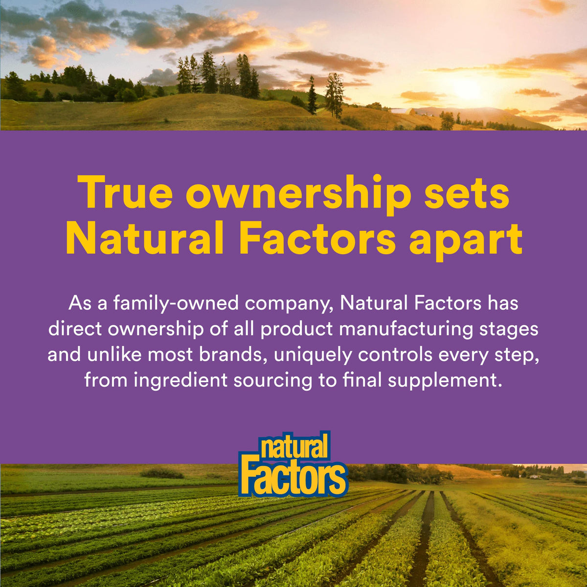 Natural Factors Extrait de Safran sur table en bois