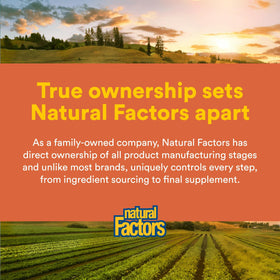 Natural Factors Formule MSM Articulaire 180 capsules avec des ingrédients naturels