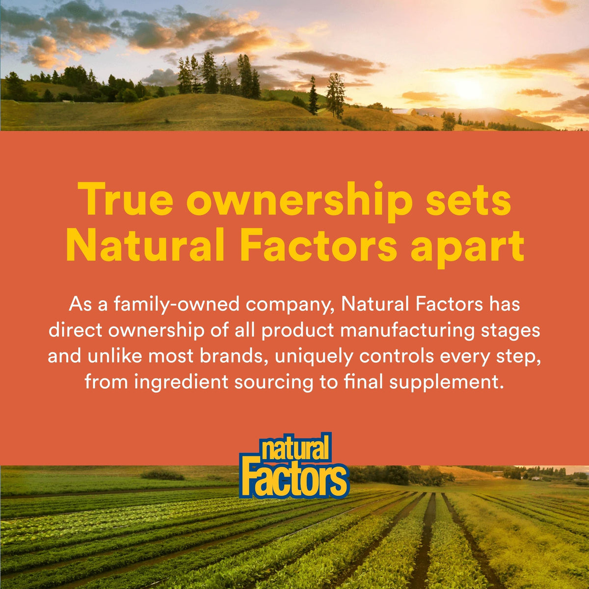Natural Factors Formule MSM Articulaire 90 gélules en usage quotidien
