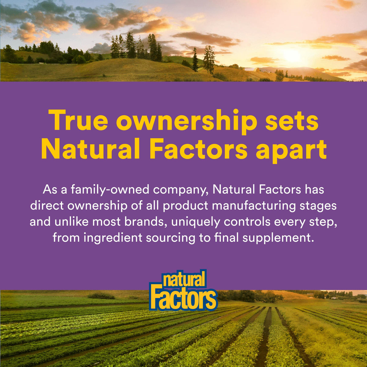 Natural Factors GABA 60 comprimés à mâcher, prise en main