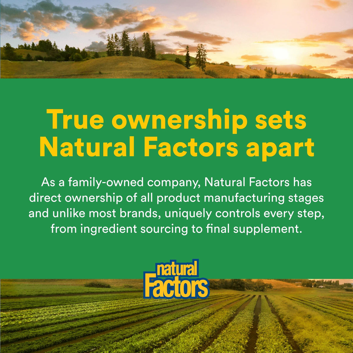 Natural Factors Golden Milk Soothing Powder 191g avec un smoothie