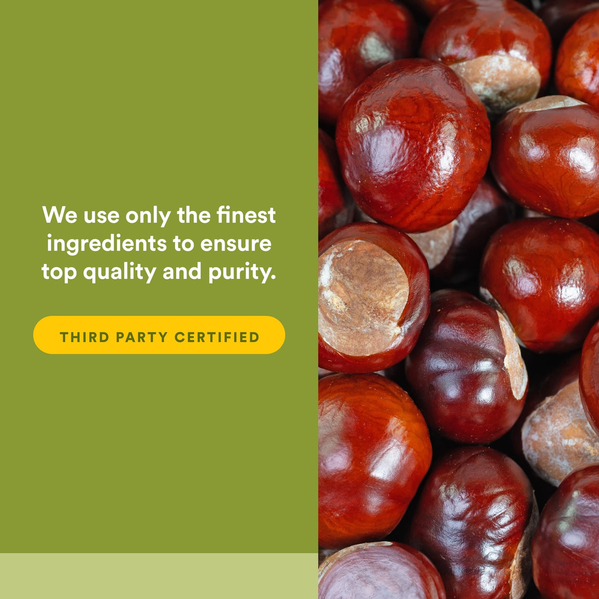 Natural Factors Horse Chestnut capsules on wooden table