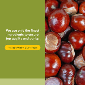 Natural Factors Horse Chestnut capsules on wooden table