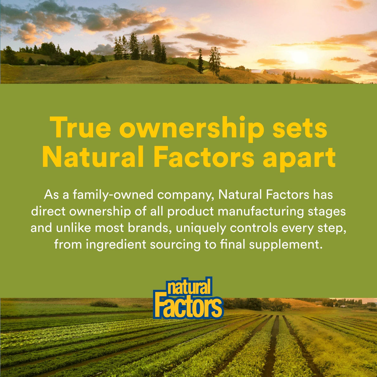 Natural Factors Horse Chestnut product features highlighted