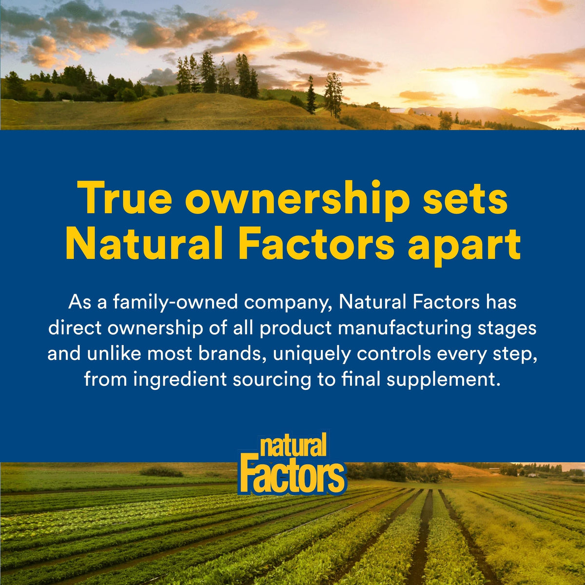 Natural Factors Huile d'Algues Marines 750 mg et des légumes frais
