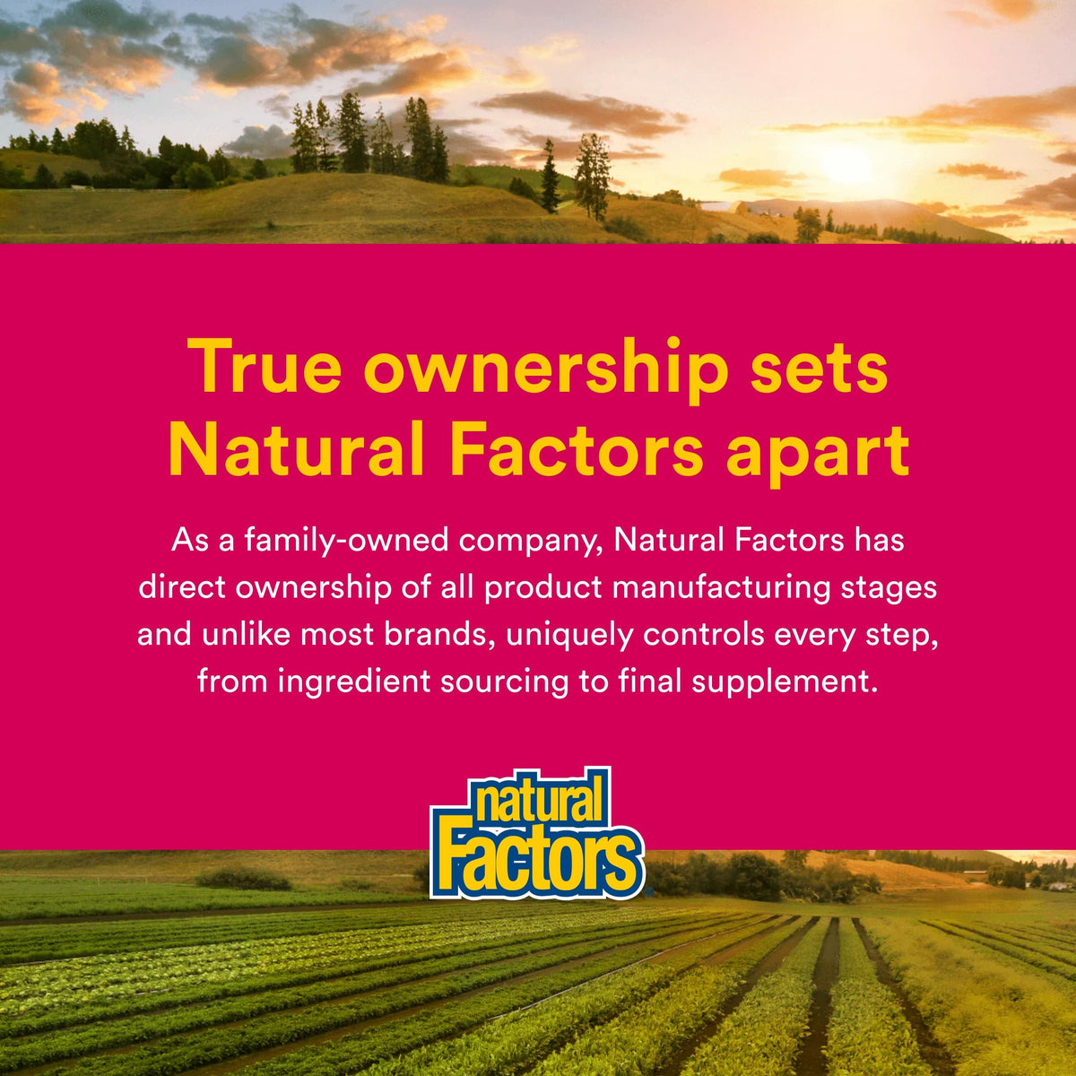 Natural Factors huile de saumon avec ingrédients naturels