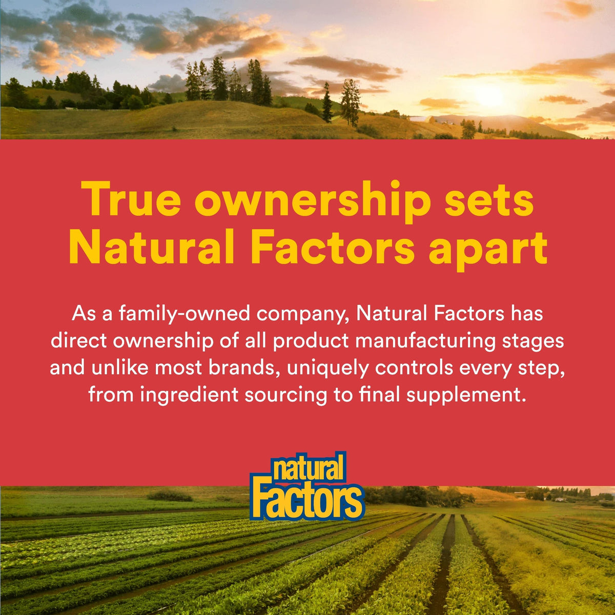 Natural Factors MacaRich 90 capsules avec étiquette visible