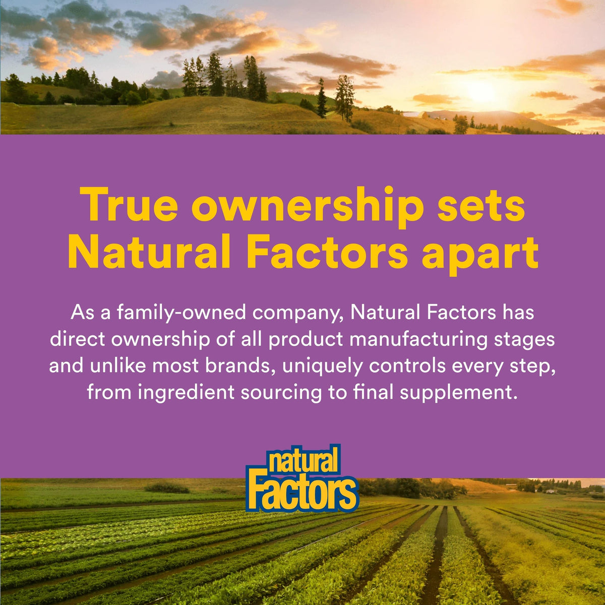 Natural Factors Melatonin 3 mg, présentation des comprimés