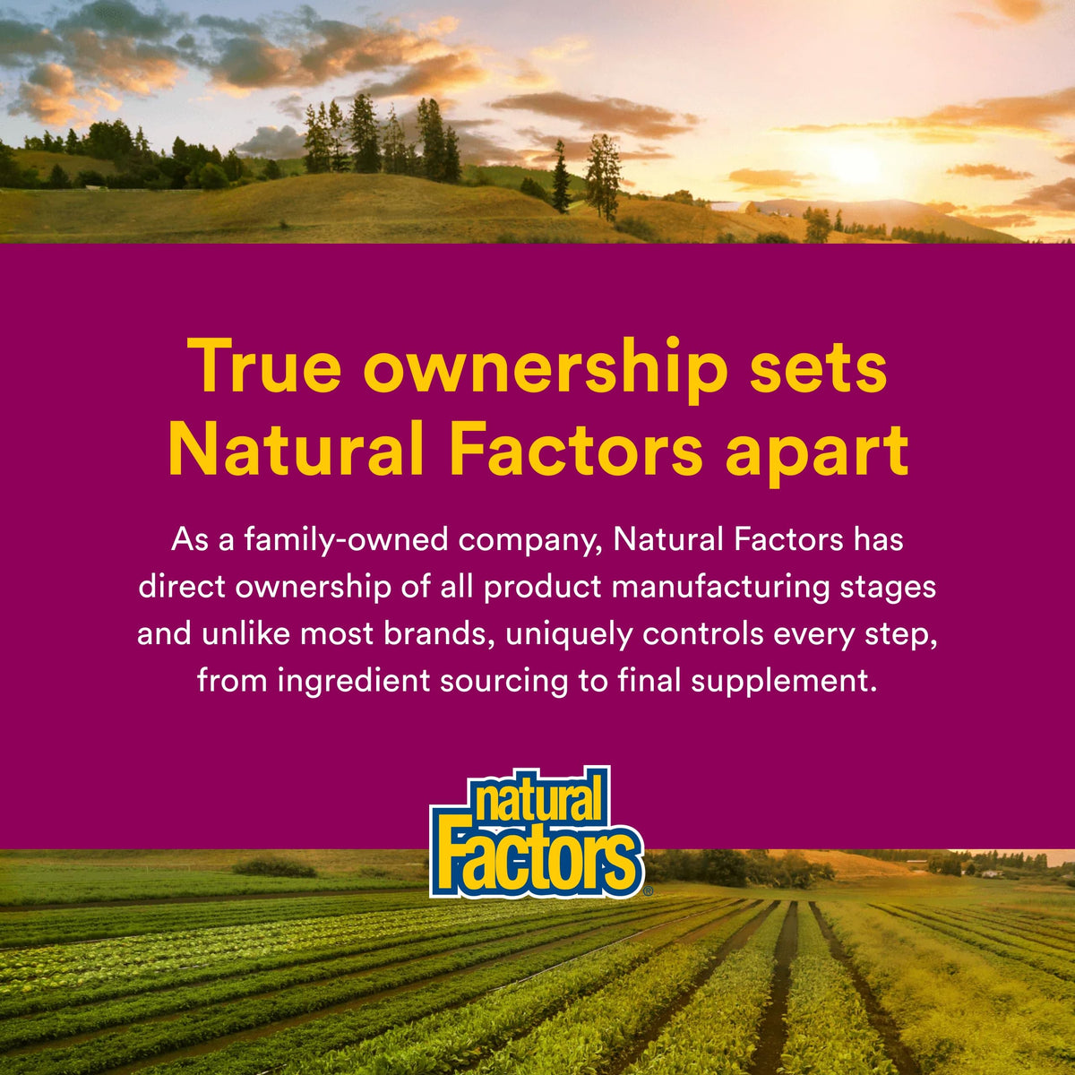 Natural Factors Methylcobalamin B12 5000 mcg comprimés à mâcher, affichage de la marque