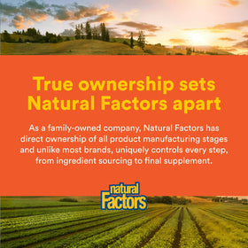 Natural Factors MSM 90 Capsules à côté de compléments alimentaires