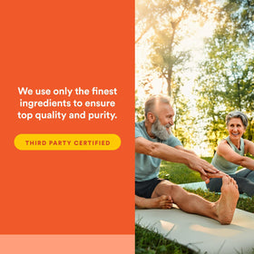 Natural Factors MSM 90 Capsules sur fond neutre