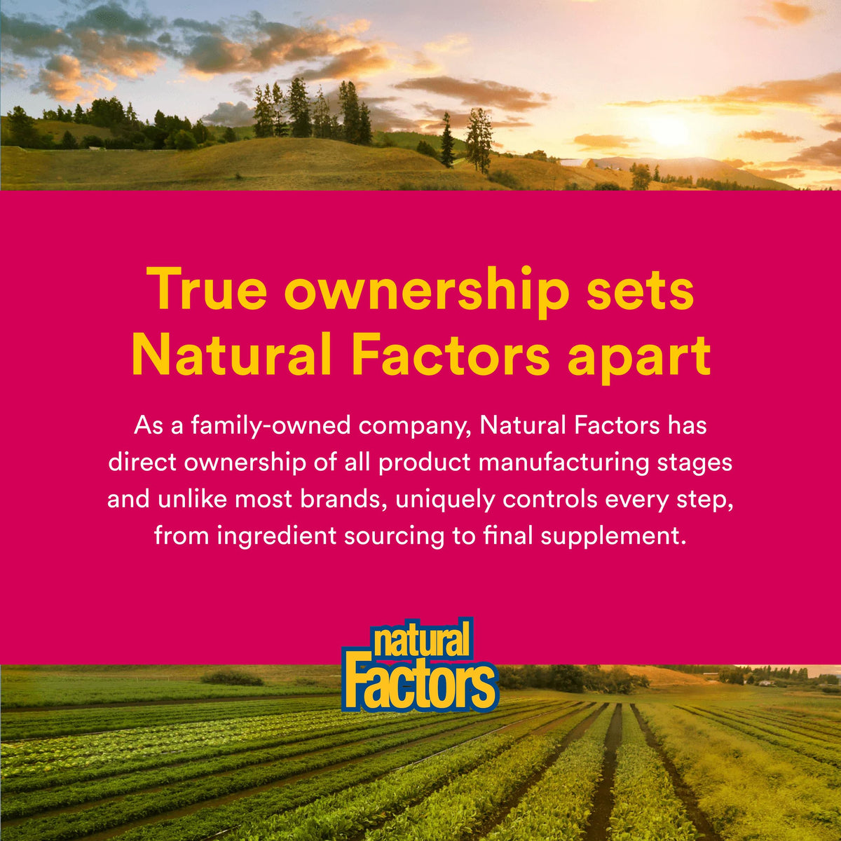 Natural Factors Multivitamine 50+ sur une table avec des aliments sains