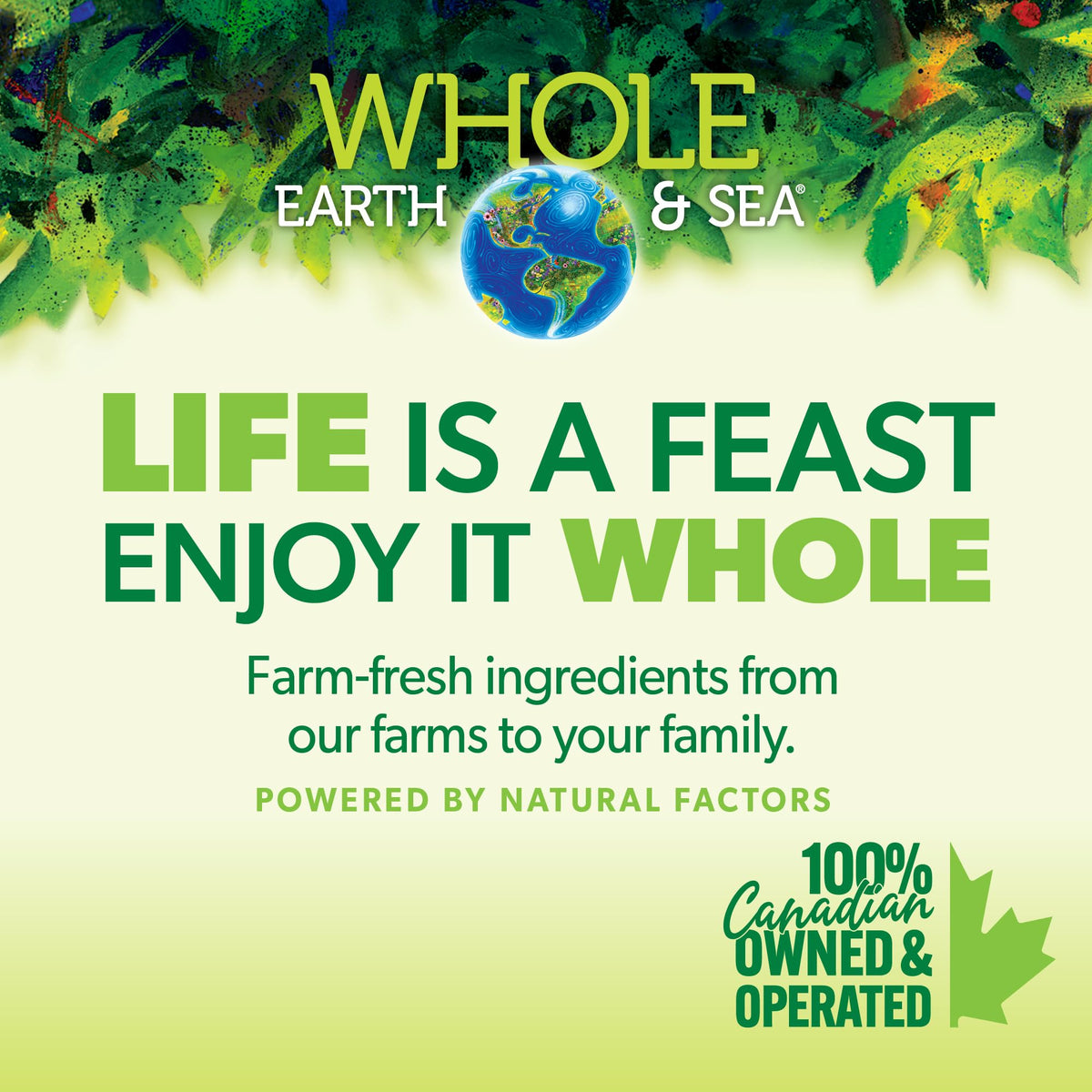 Natural Factors Multivitamine Femmes 50+ 120 comprimés vegans emballage arrière