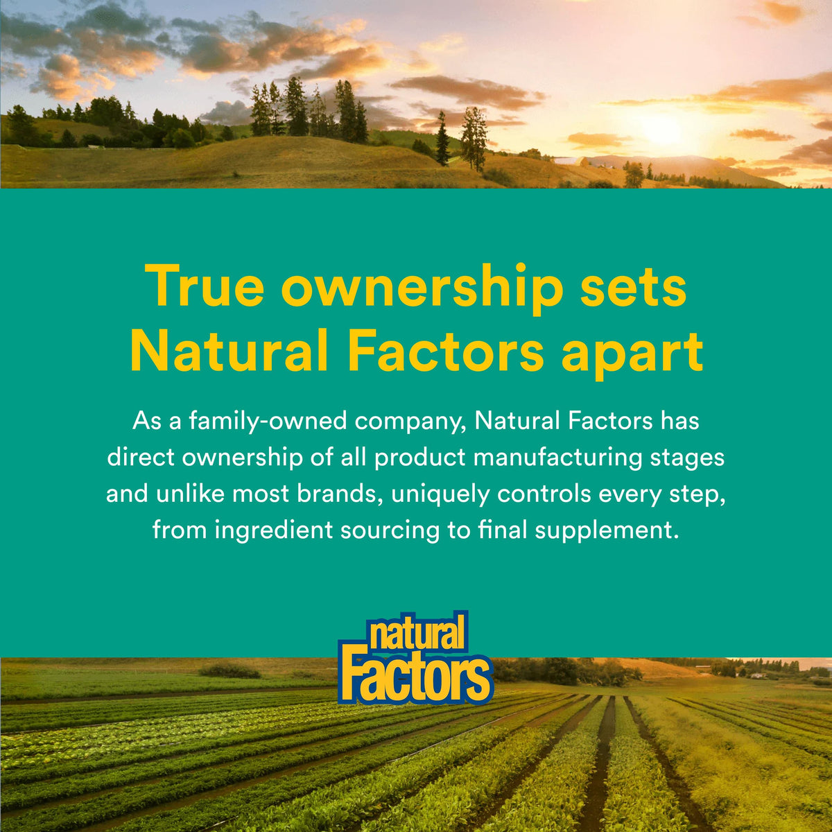 Natural Factors Multivitamines et Minéraux Hommes 60 Capsules dans un environnement naturel