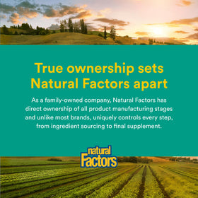 Natural Factors Multivitamines et Minéraux Hommes 60 Capsules dans un environnement naturel