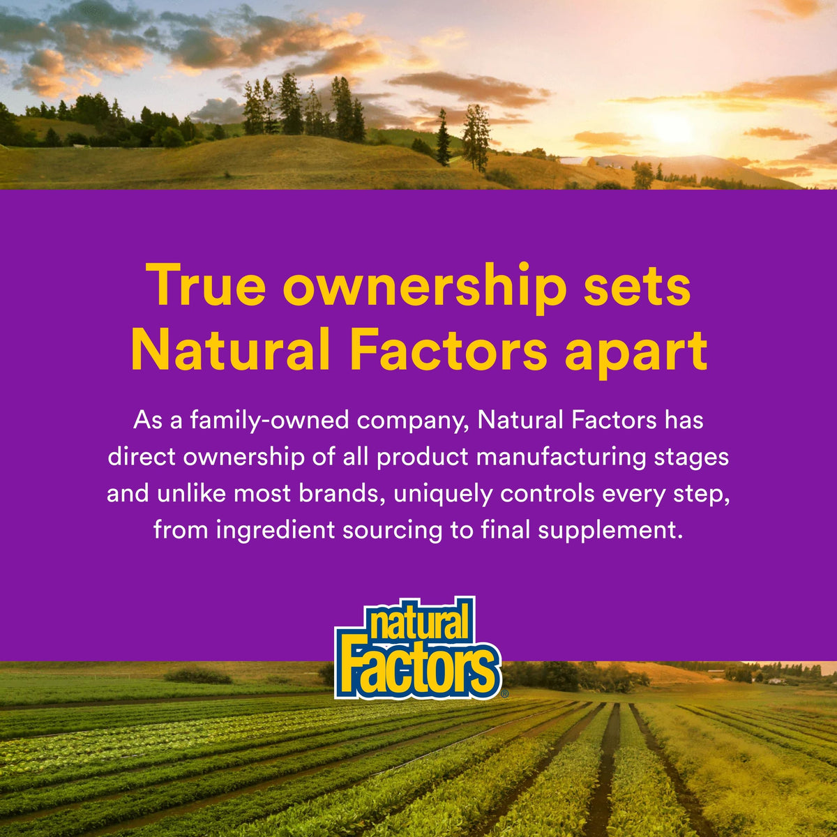 Natural Factors OsteoMove Extra Strength 120 comprimés en usage quotidien