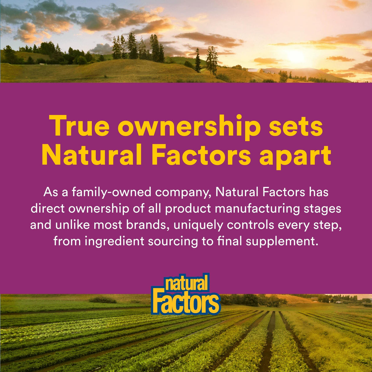 Natural Factors Pantethine B5 450 mg 60 gélules molles dans leur emballage