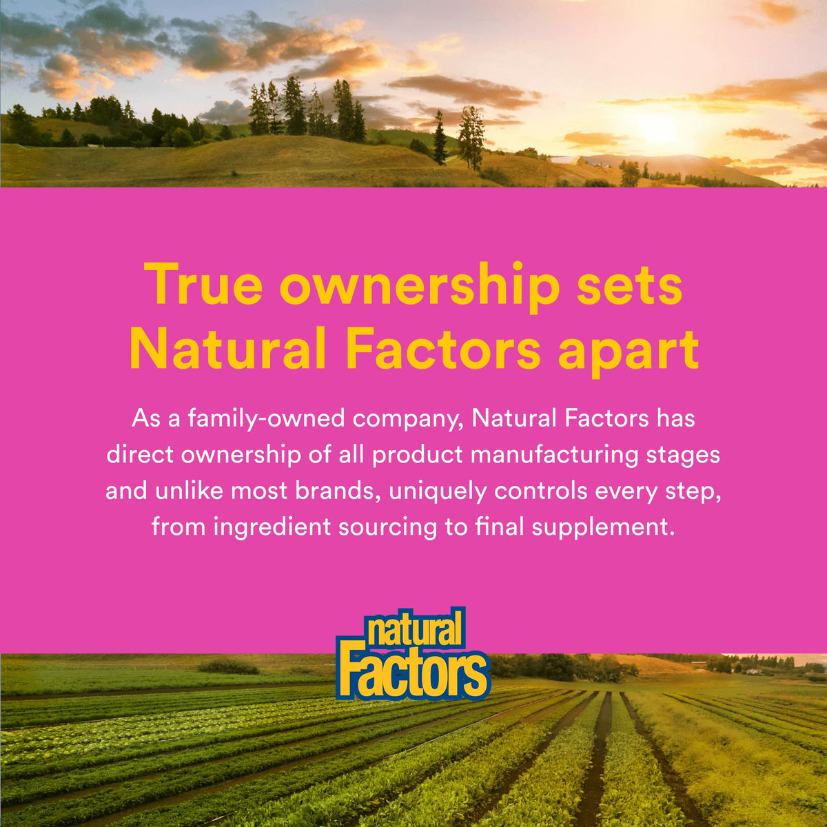 Natural Factors Probiotique Femme 25 Milliards en milieu de vie quotidienne