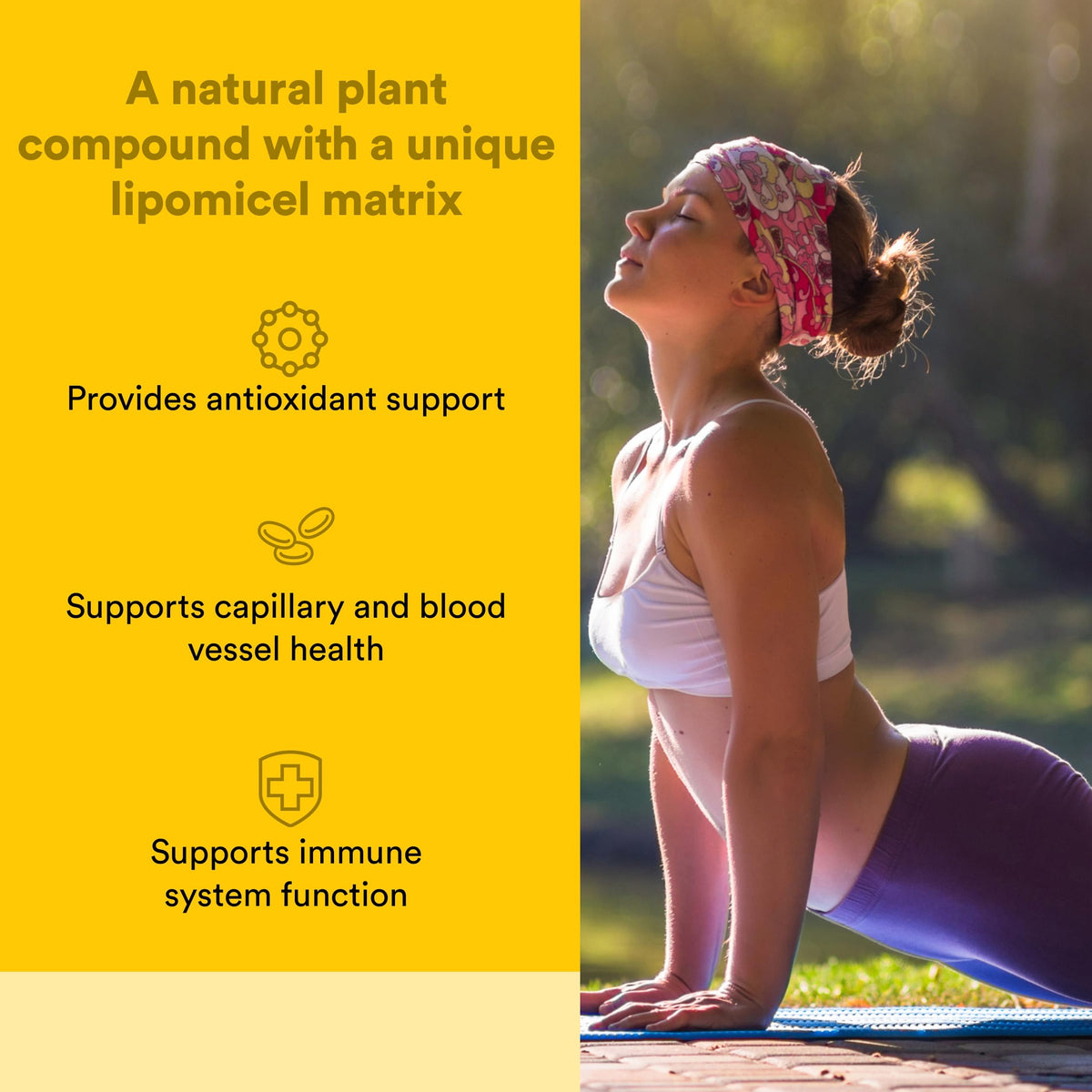 Natural Factors Quercetin LipoMicel Matrix 250 mg gélules arrière