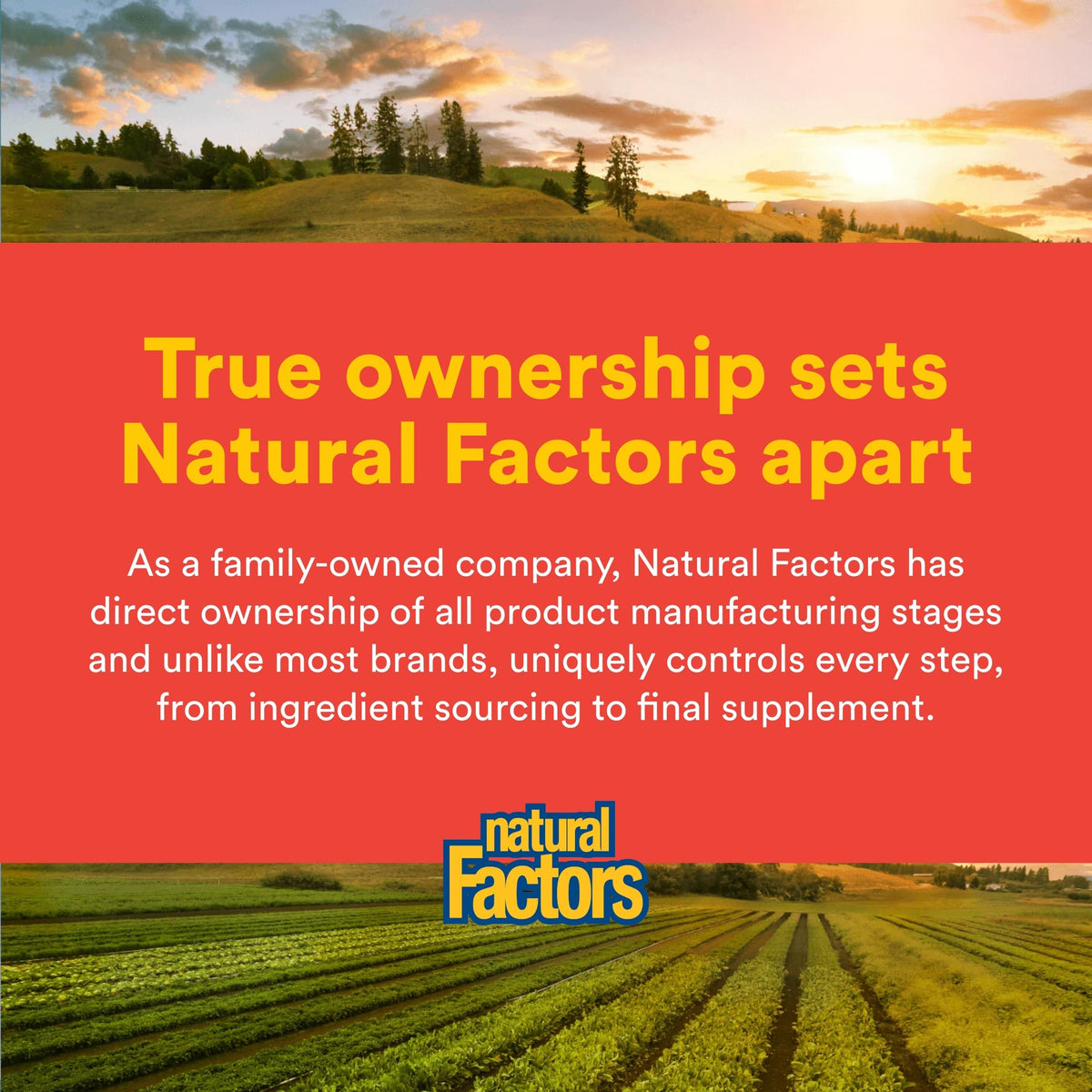 Natural Factors Quercétine - Capsules dans une cuillère