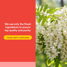 Natural Factors Quercétine - Capsules végétariennes ouvertes