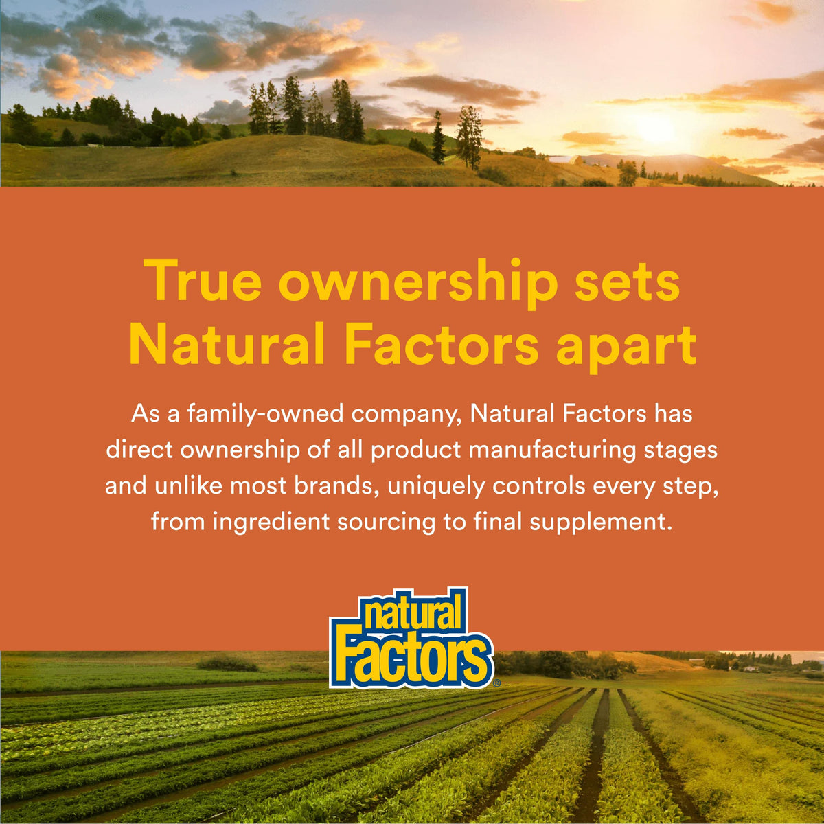 Natural Factors Regenerlife NMN 500MG capsules végétariennes avec une main tenant la boîte