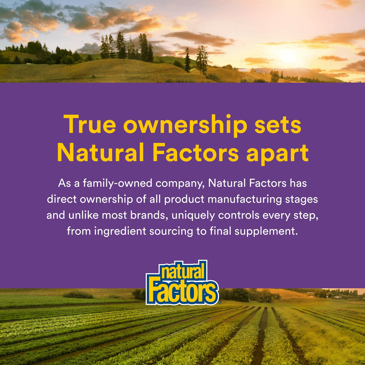 Natural Factors Reliefiber Poudre de Fibre Bio 260g avec ingrédients